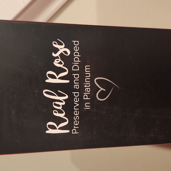 Steven Singer Real Pink Rose Preserved and Dipped in Platinum - Picture 1 of 14